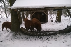WP_20150207_005